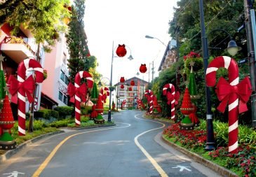 foto-decoracao-natal-luz-2022-rua-torta-20352656.jpg